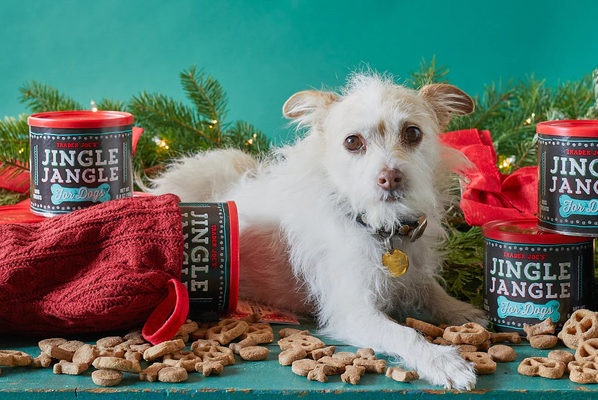Jingle Jangle for Dogs