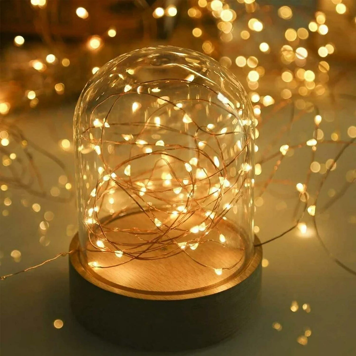 Christmas 100 LED USB Silver Copper Fairy Lights