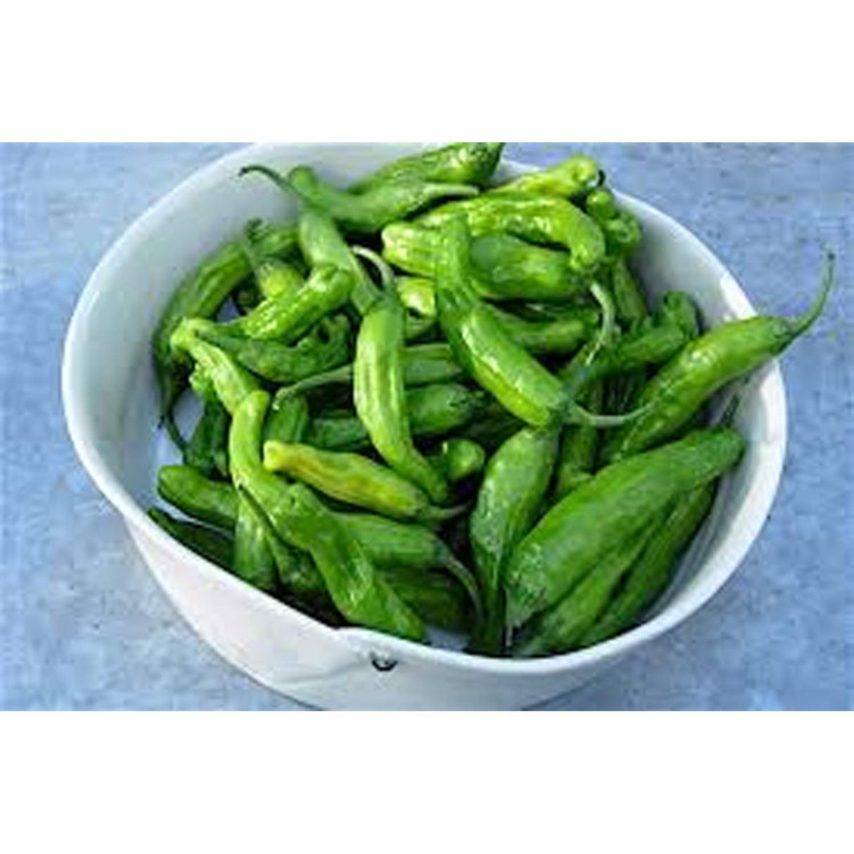 Shishito Peppers 8 oz Fresh & Flavorful