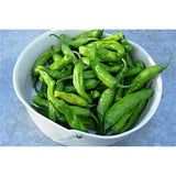 Shishito Peppers 8 oz Fresh & Flavorful