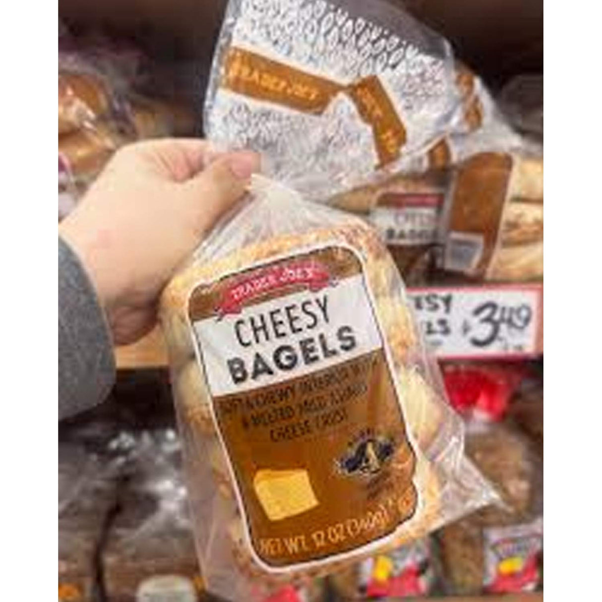 Cheesy Bagels 12 oz Soft & Savory
