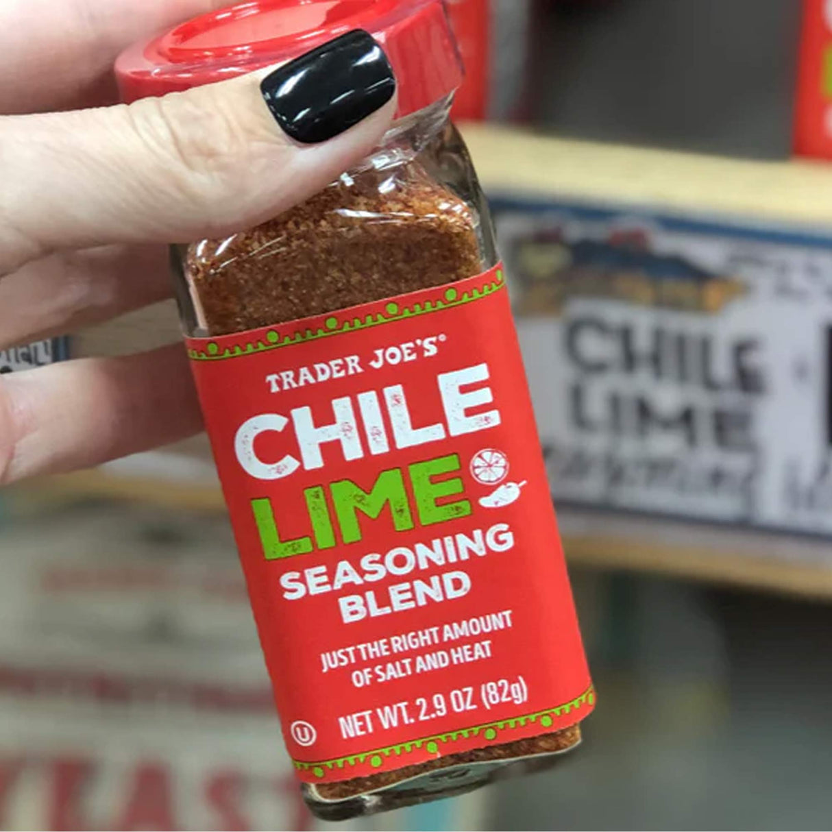 Chile Lime Seasoning Blend 2.5 oz
