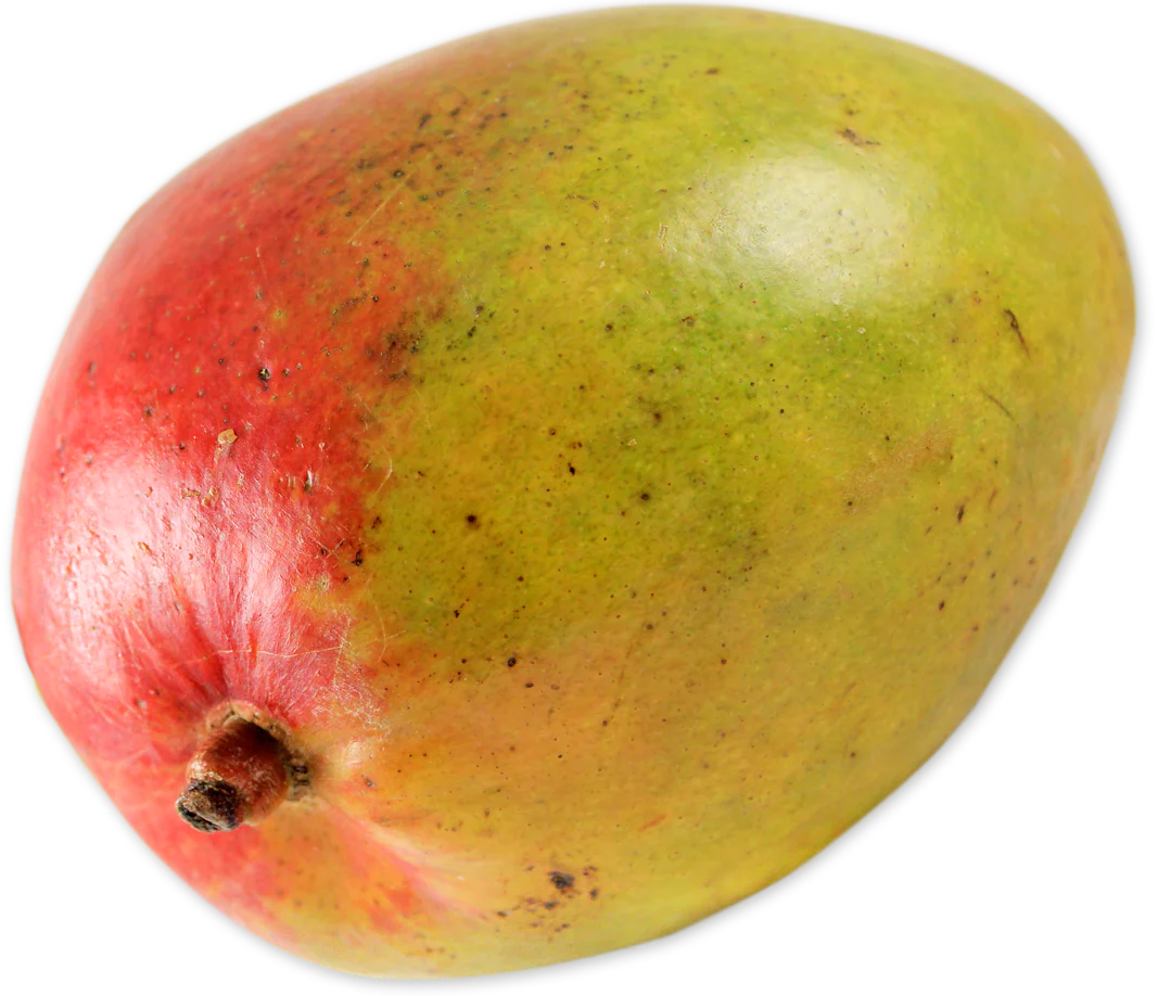 Trader Joes Mango/1 Each